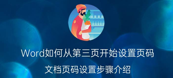 Word如何从第三页开始设置页码 文档页码设置步骤介绍